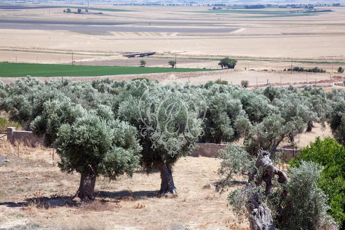 Отель, гостиница в Гаргано, Италия, 1 948 м² - фото 9