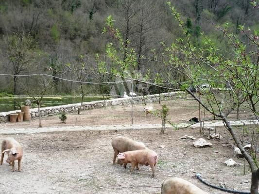 Производство в Вирпазаре, Черногория, 850 м² - фото 6