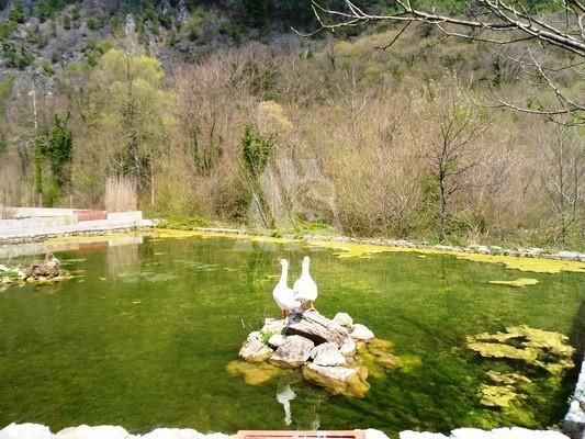 Производство в Вирпазаре, Черногория, 850 м² - фото 4