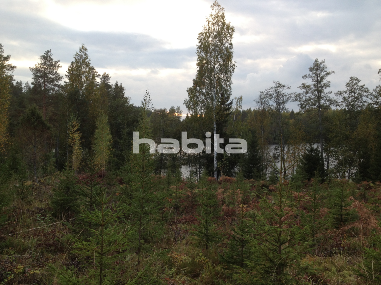 Земля в Миккели, Финляндия, 70 171 м2 - фото 1
