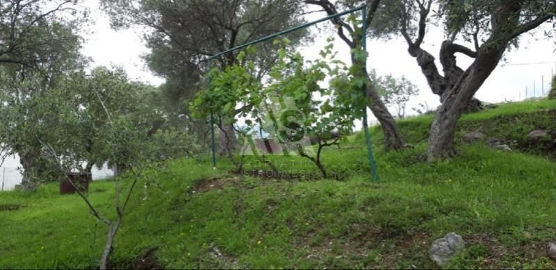 Земля в Баре, Черногория, 2 908 м² - фото 3