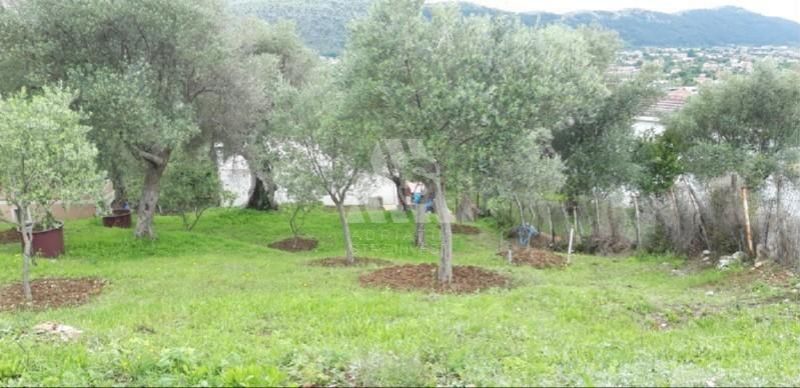 Земля в Баре, Черногория, 2 908 м² - фото 4