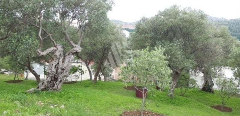 Земля в Баре, Черногория, 2 908 м² - фото 5