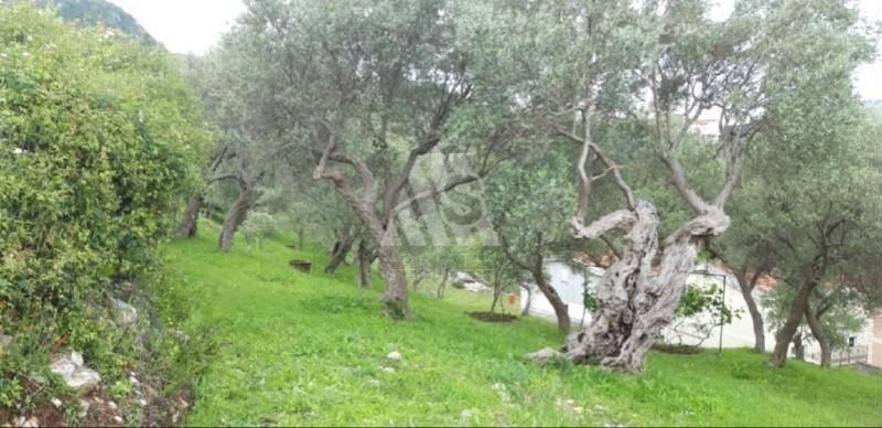 Земля в Баре, Черногория, 2 908 м² - фото 6