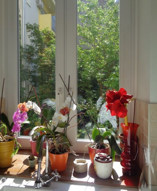 Квартира в Будапеште, Венгрия, 231 м² - фото 5