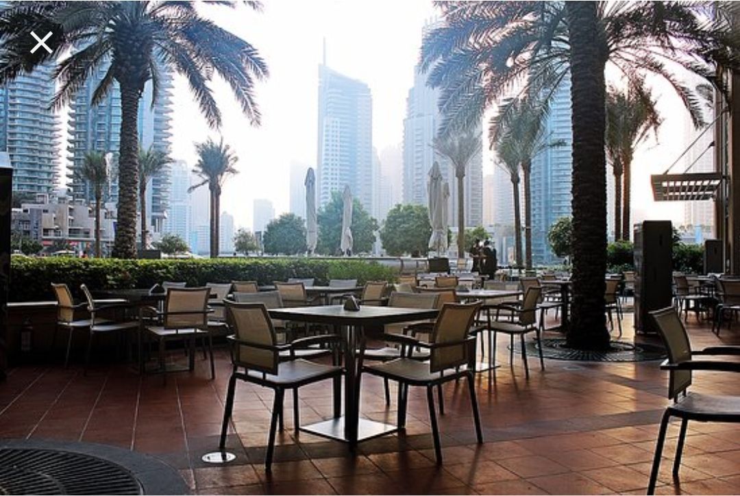 Кафе, ресторан в Дубае, ОАЭ, 519 м2 - фото 1