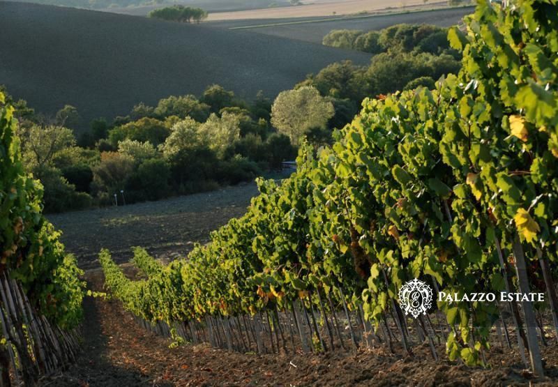 Отель, гостиница в Сатурнии, Италия, 270 м² - фото 2