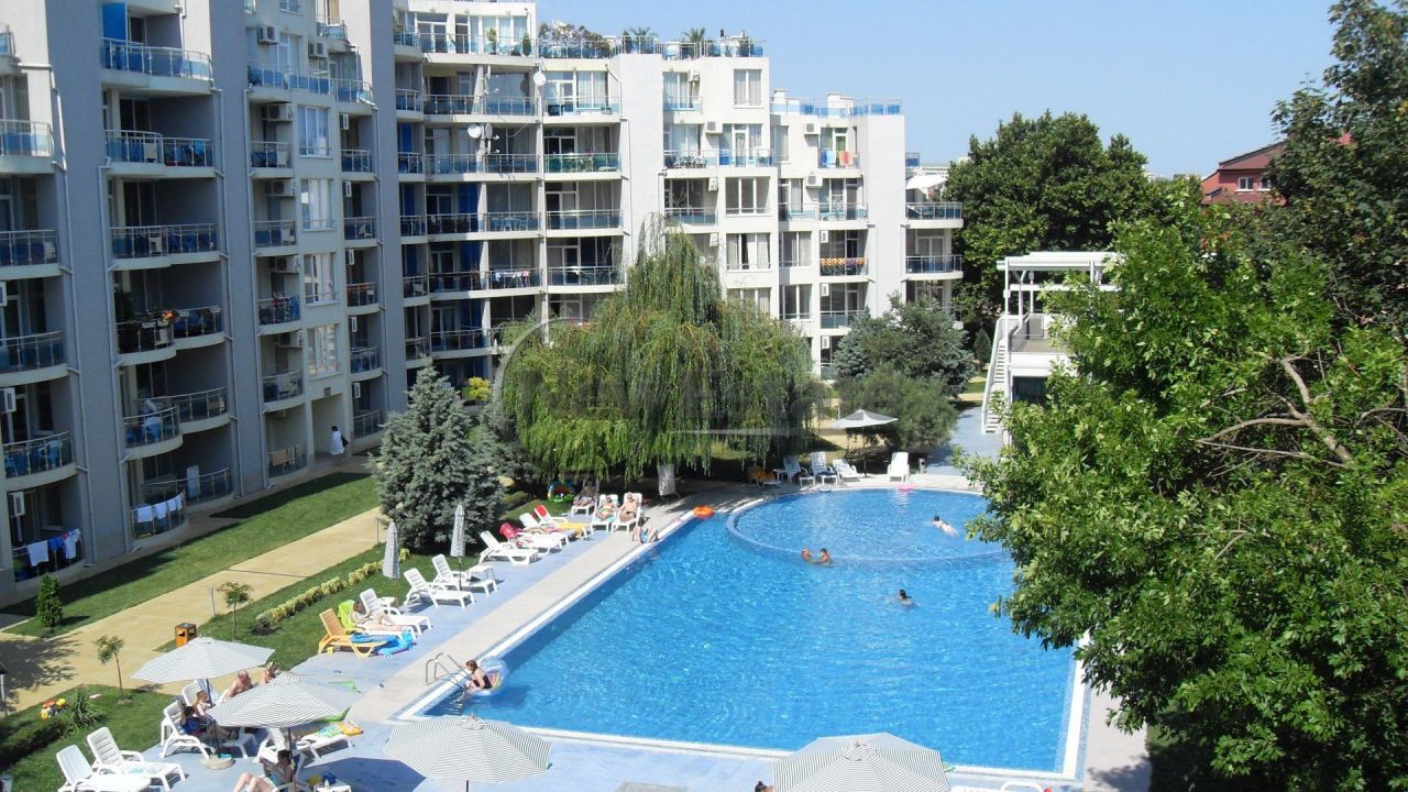 Анна - Городской оазис - 50 фото Анна - Городской оазис - 50 фото