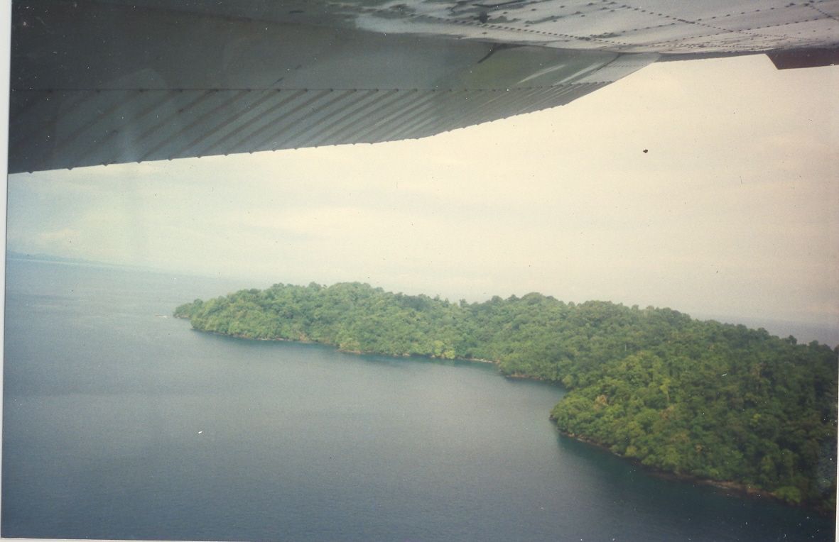 Остров Остров Rancherías o Coibita, Панама, 125 Га - фото 1