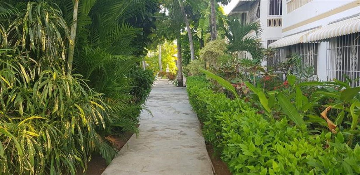 Апартаменты в Сосуа, Доминиканская Республика, 62 м² - фото 3