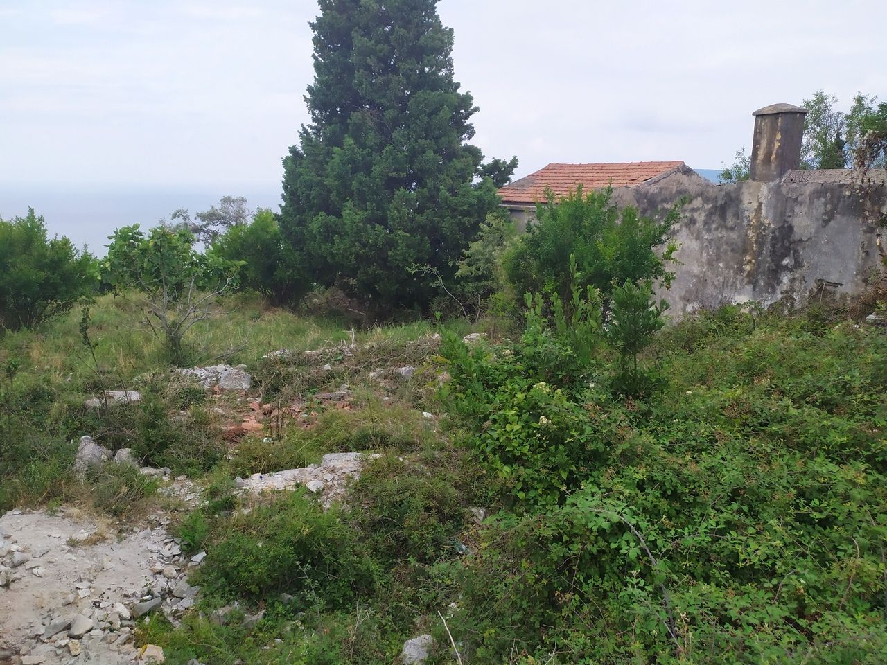 Земля Ратац, Черногория, 2 500 м² - фото 3