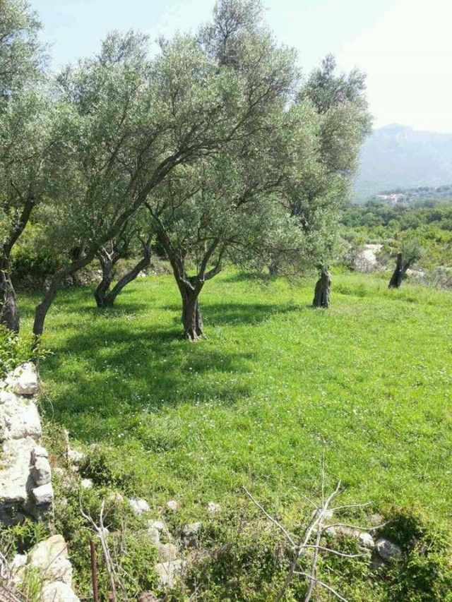 Земля в Баре, Черногория, 809 м² - фото 2