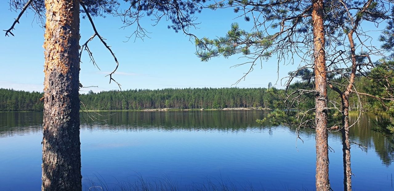 Земля в Пуумала, Финляндия, 6 370 м2 - фото 1