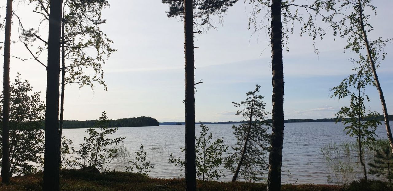 Коттедж в Савонлинне, Финляндия, 55 м2 - фото 1