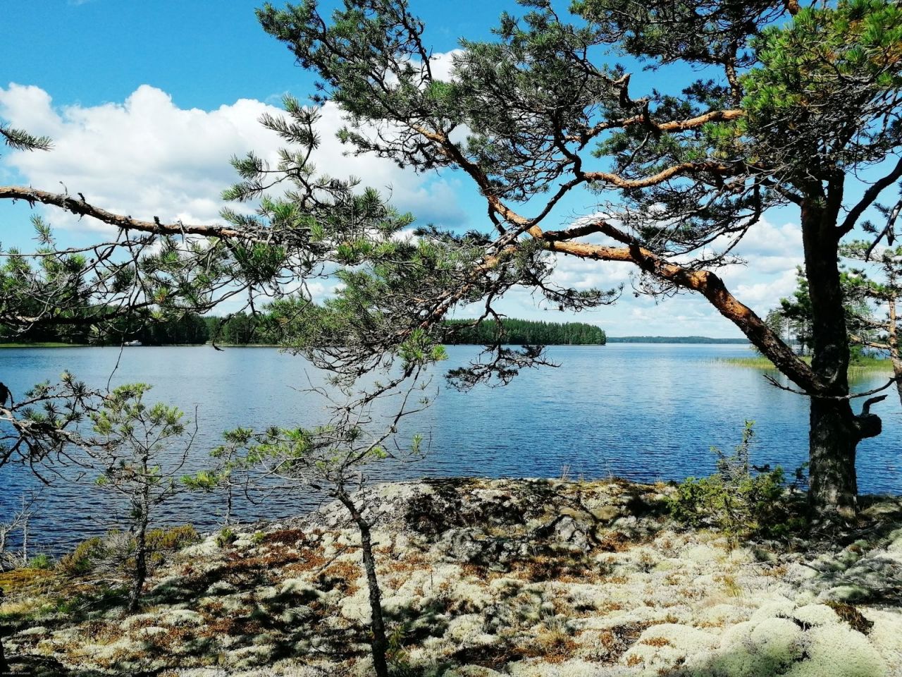 Земля в Пункахарью, Финляндия, 4 513 м2 - фото 1