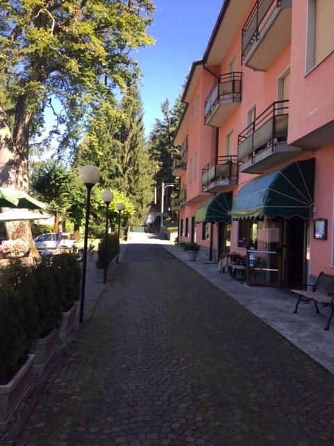 Отель, гостиница в Ланцо-д’Интельви, Италия, 1 500 м2 - фото 1