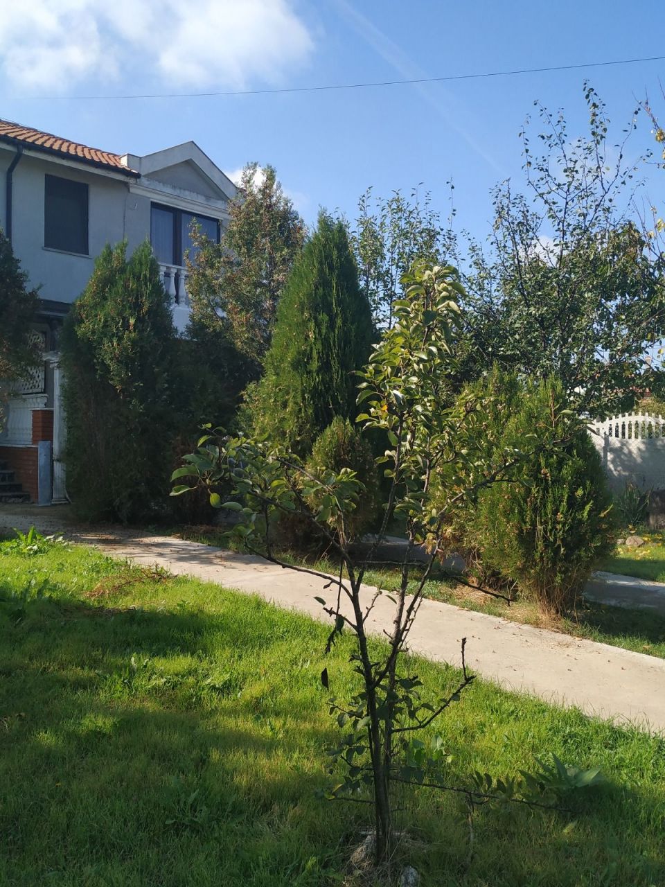 Дом в Александрово, Болгария, 100 м2 - фото 1