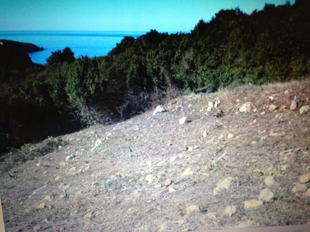 Земля в Утехе, Черногория, 1 594 м² - фото 3