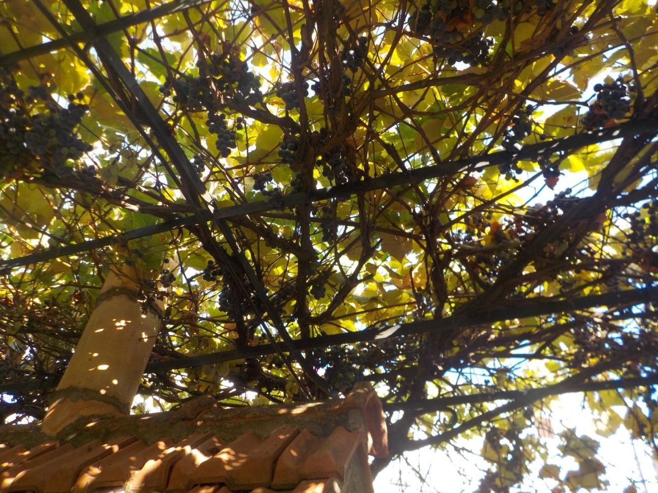 Дом в Святом Стефане, Черногория, 150 м² - фото 3