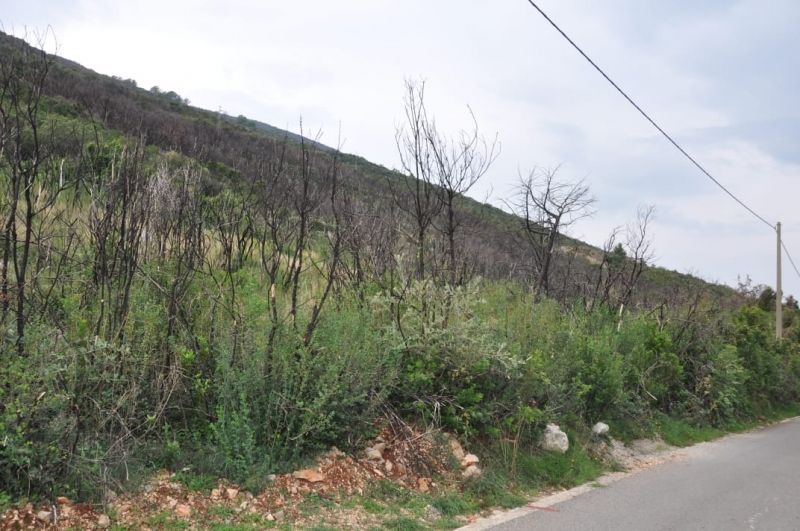 Земля в Крашичах, Черногория, 8 800 м² - фото 2