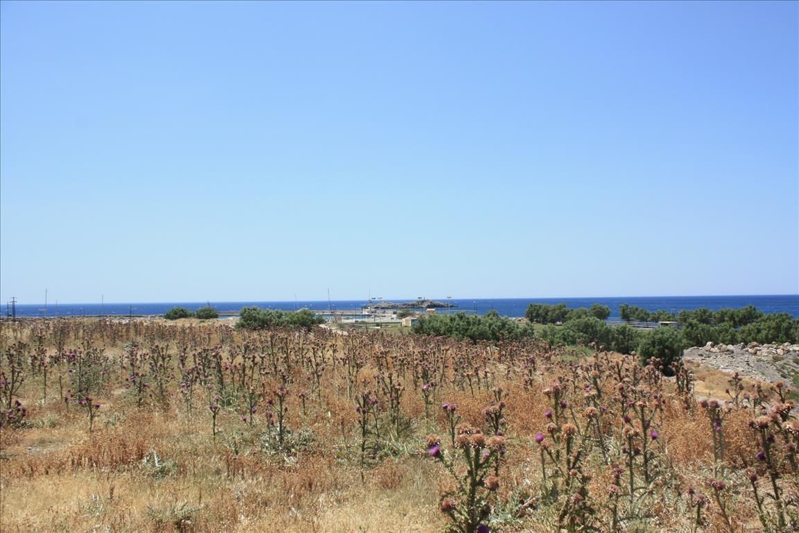 Земля в номе Ханья, Греция, 5 000 м2 - фото 1