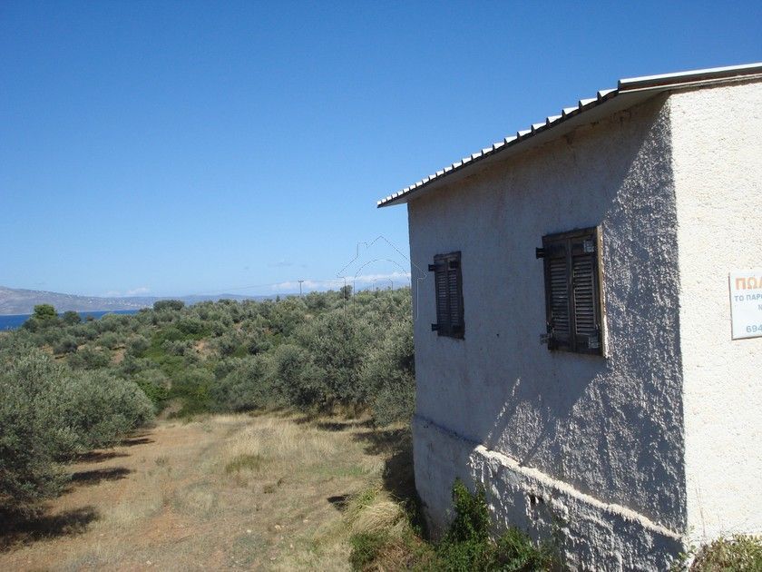 Дом в Эретрии, Греция, 45 м2 - фото 1