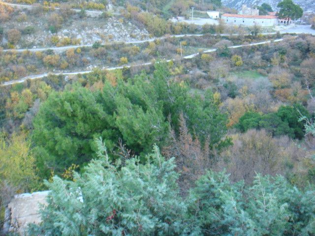 Земля в Которе, Черногория, 8 000 м² - фото 2