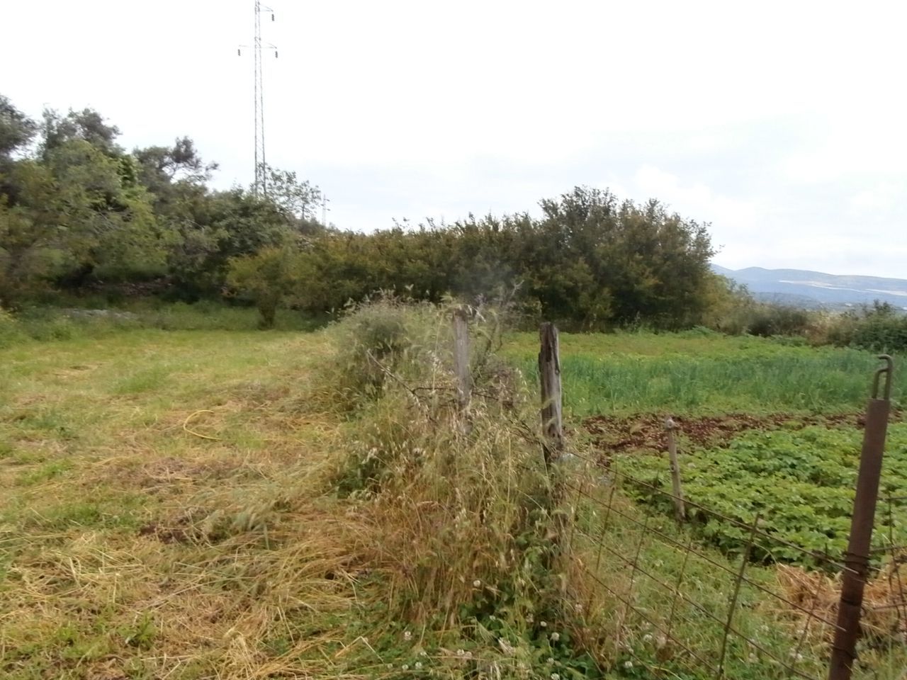 Земля в Добра Воде, Черногория, 7 662 м² - фото 5