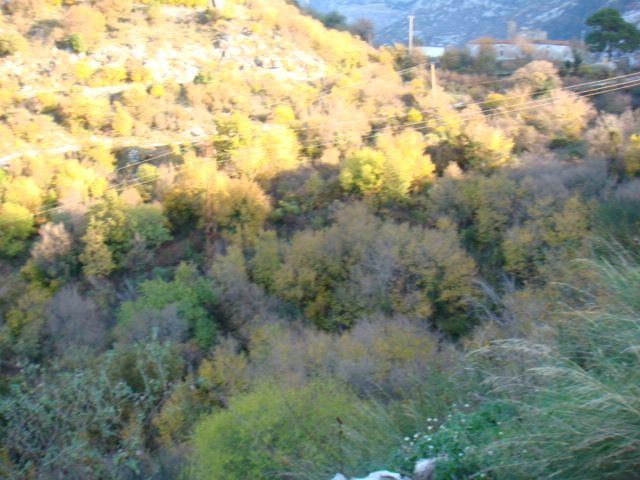 Земля в Которе, Черногория, 8 000 м² - фото 6