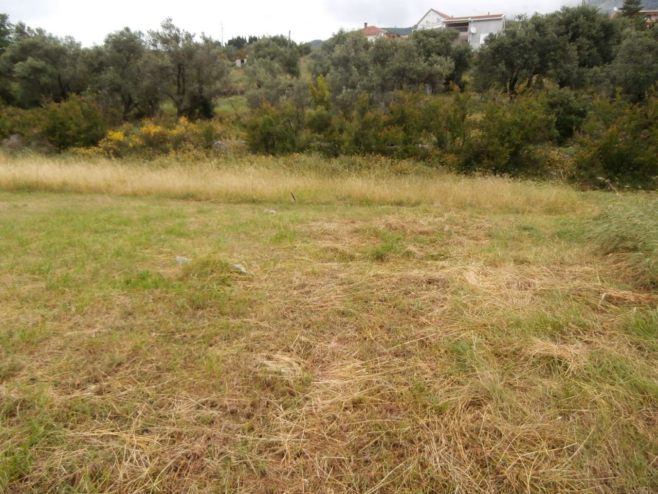 Земля в Добра Воде, Черногория, 7 662 м² - фото 7