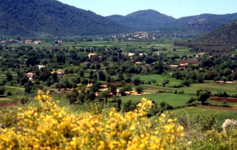 Земля в Фетхие, Турция, 1 000 м² - фото 2