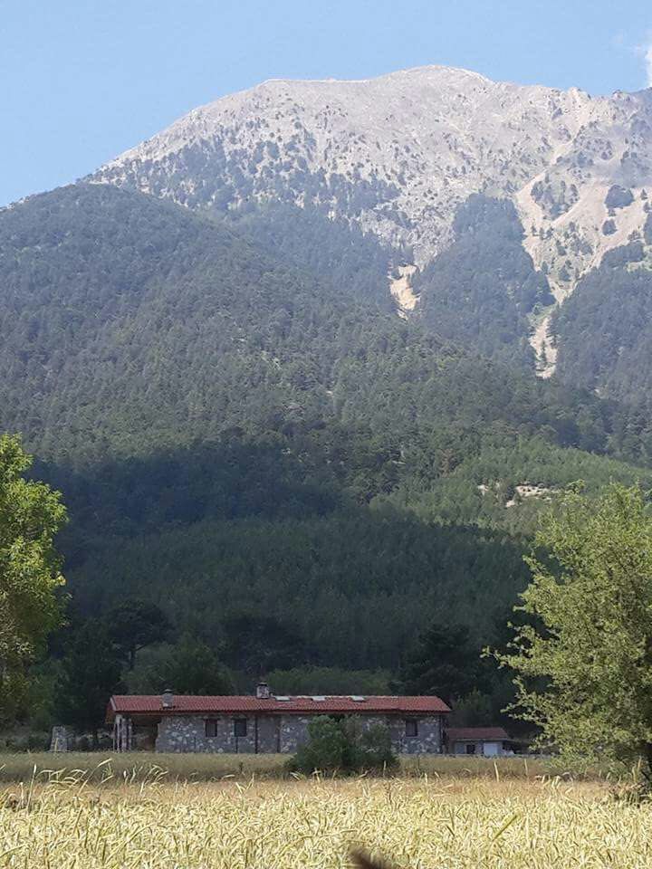 Земля в Фетхие, Турция, 1 000 м² - фото 11