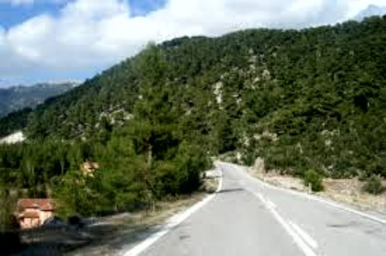 Земля в Фетхие, Турция, 1 000 м² - фото 12