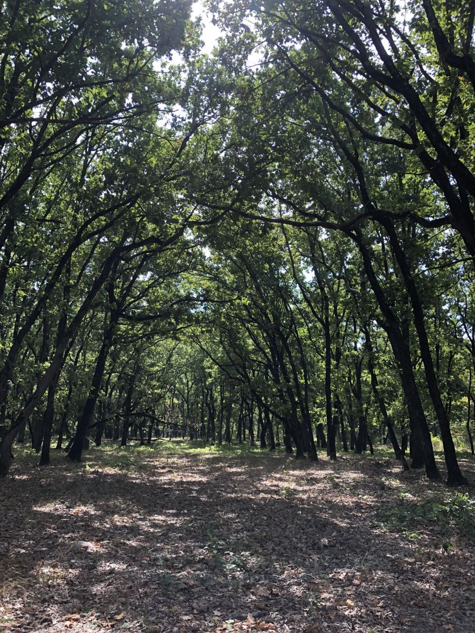 Студия в Приморско, Болгария, 35 м² - фото 15