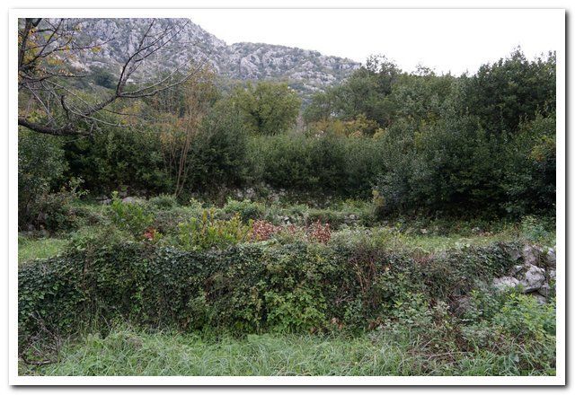 Земля в Рисане, Черногория, 284 м² - фото 2