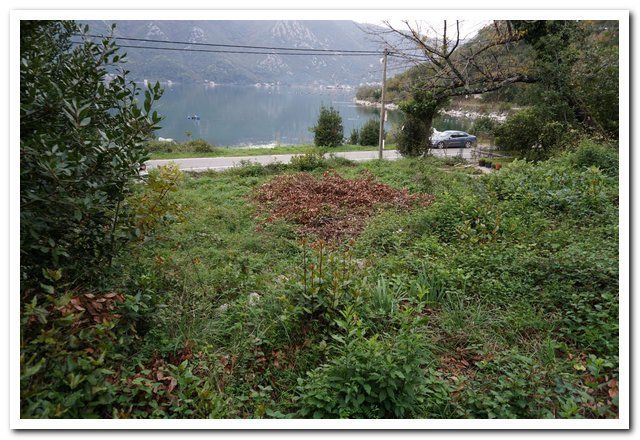 Земля в Рисане, Черногория, 284 м² - фото 6