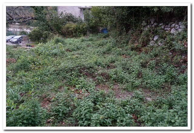 Земля в Рисане, Черногория, 284 м² - фото 7