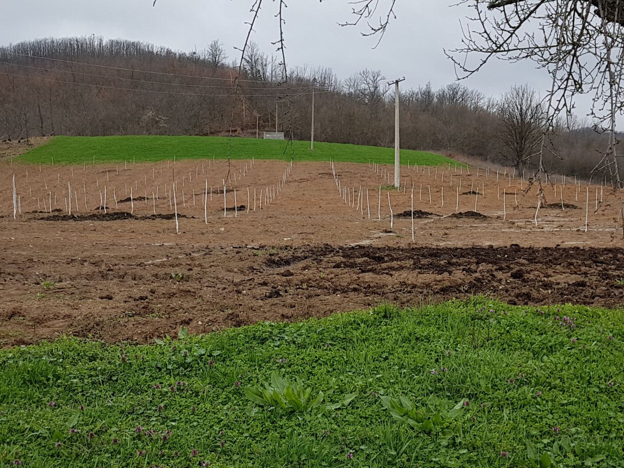 Земля в Нише, Сербия, 10 Га - фото 5