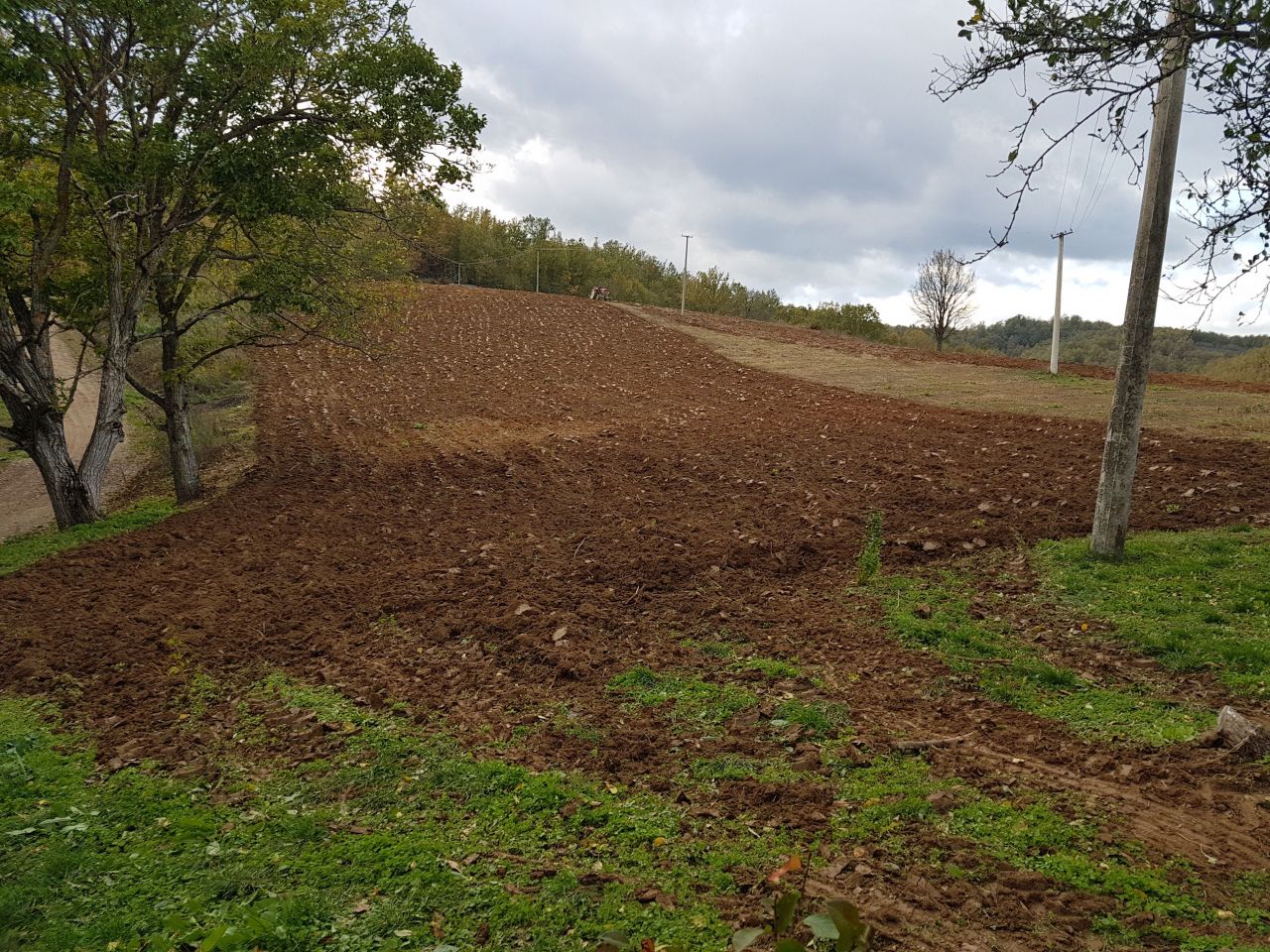 Земля в Нише, Сербия, 10 Га - фото 4