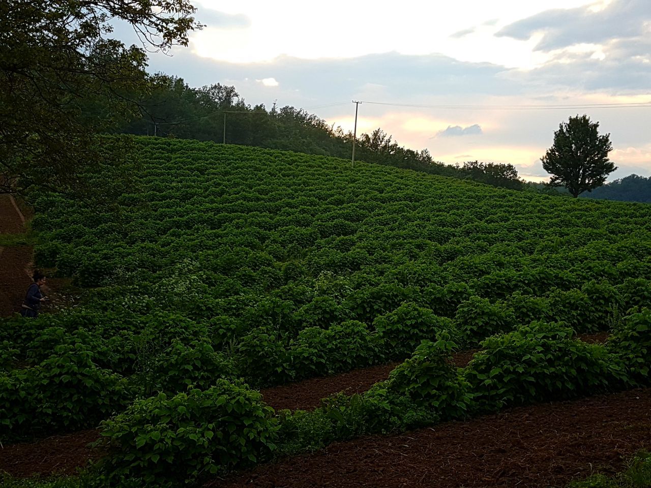 Дом в Нише, Сербия, 70 м² - фото 2