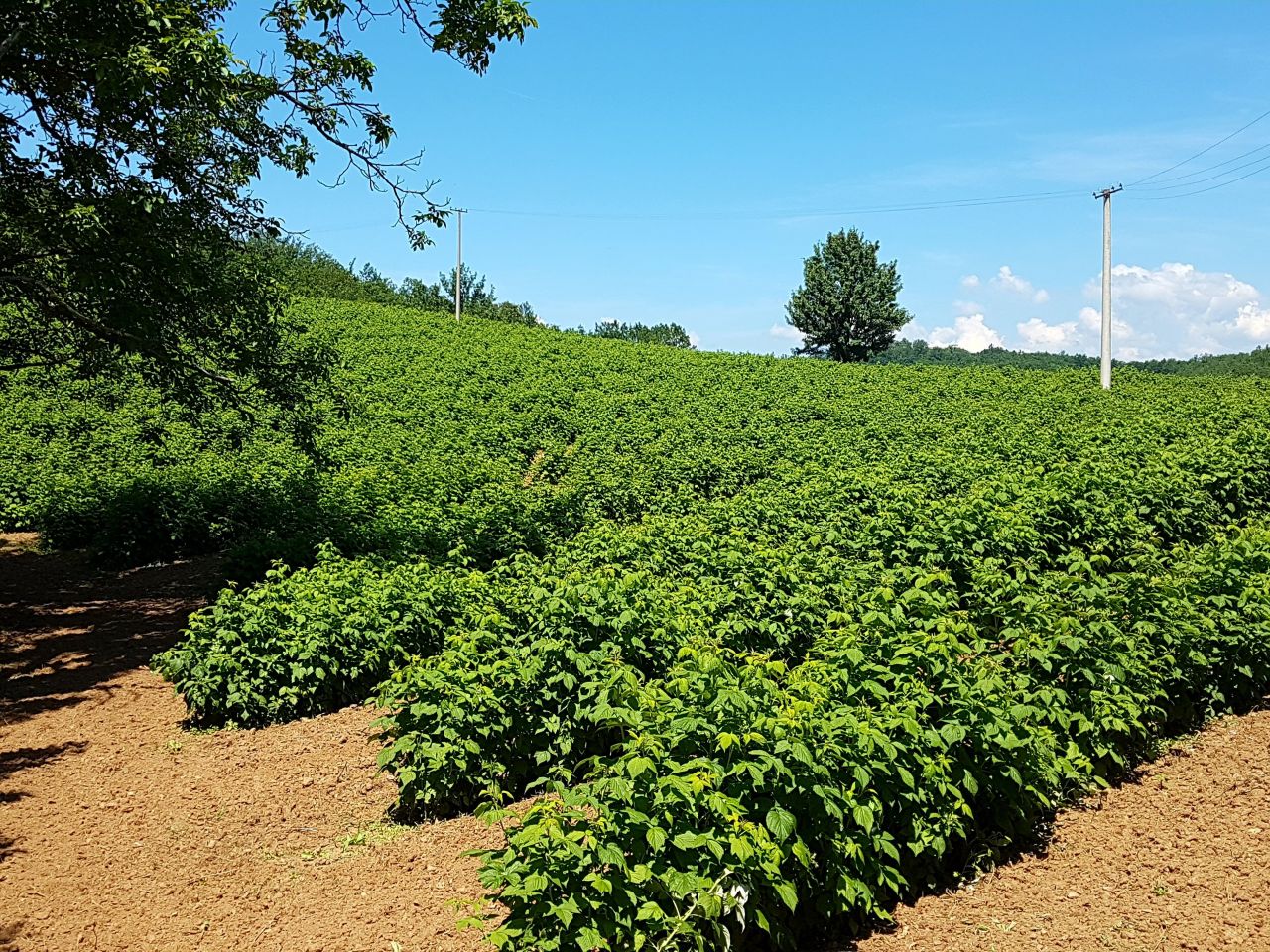 Дом в Нише, Сербия, 70 м² - фото 3