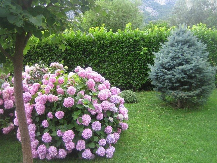 Вилла в Которе, Черногория, 310 м² - фото 14