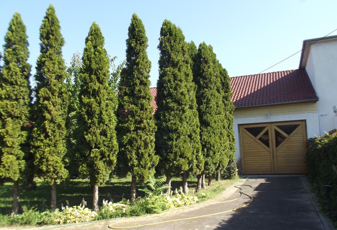 Производство в Керепеше, Венгрия, 10 755 м² - фото 5
