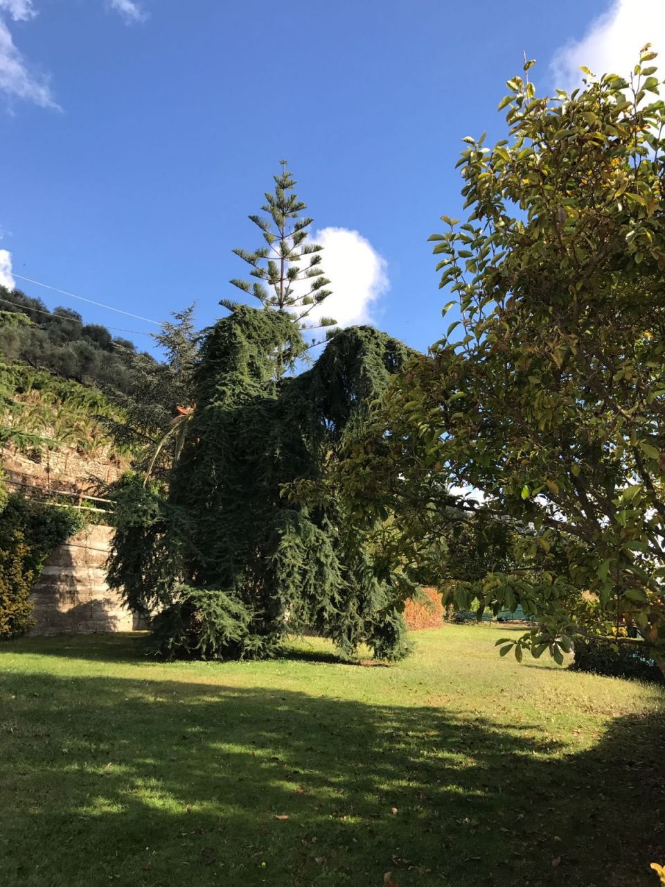 Дом в Арма ди Таджа, Италия, 330 м² - фото 16