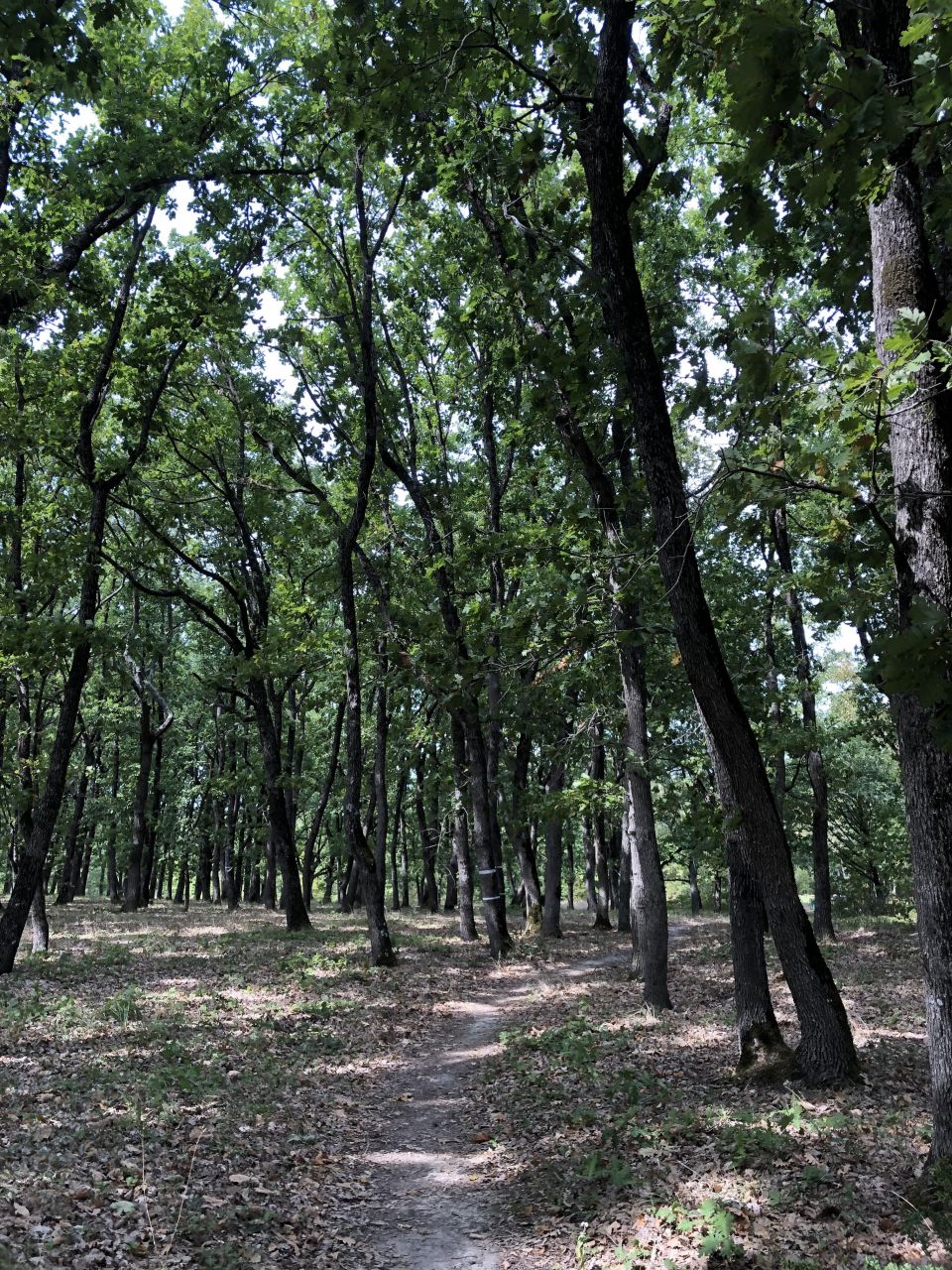 Студия в Приморско, Болгария, 35 м² - фото 15