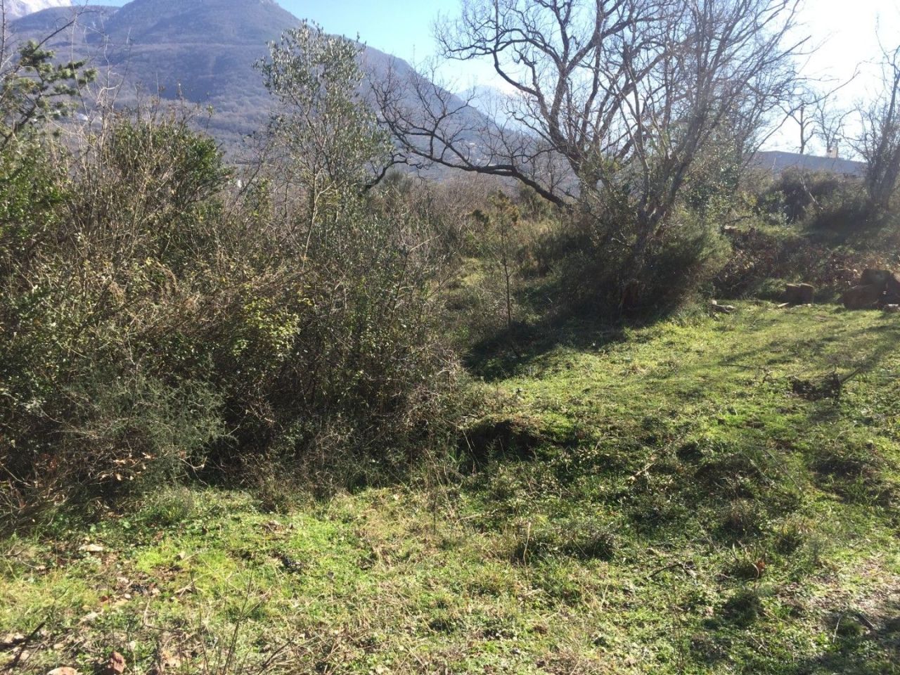 Земля в Баре, Черногория, 8 570 м² - фото 2