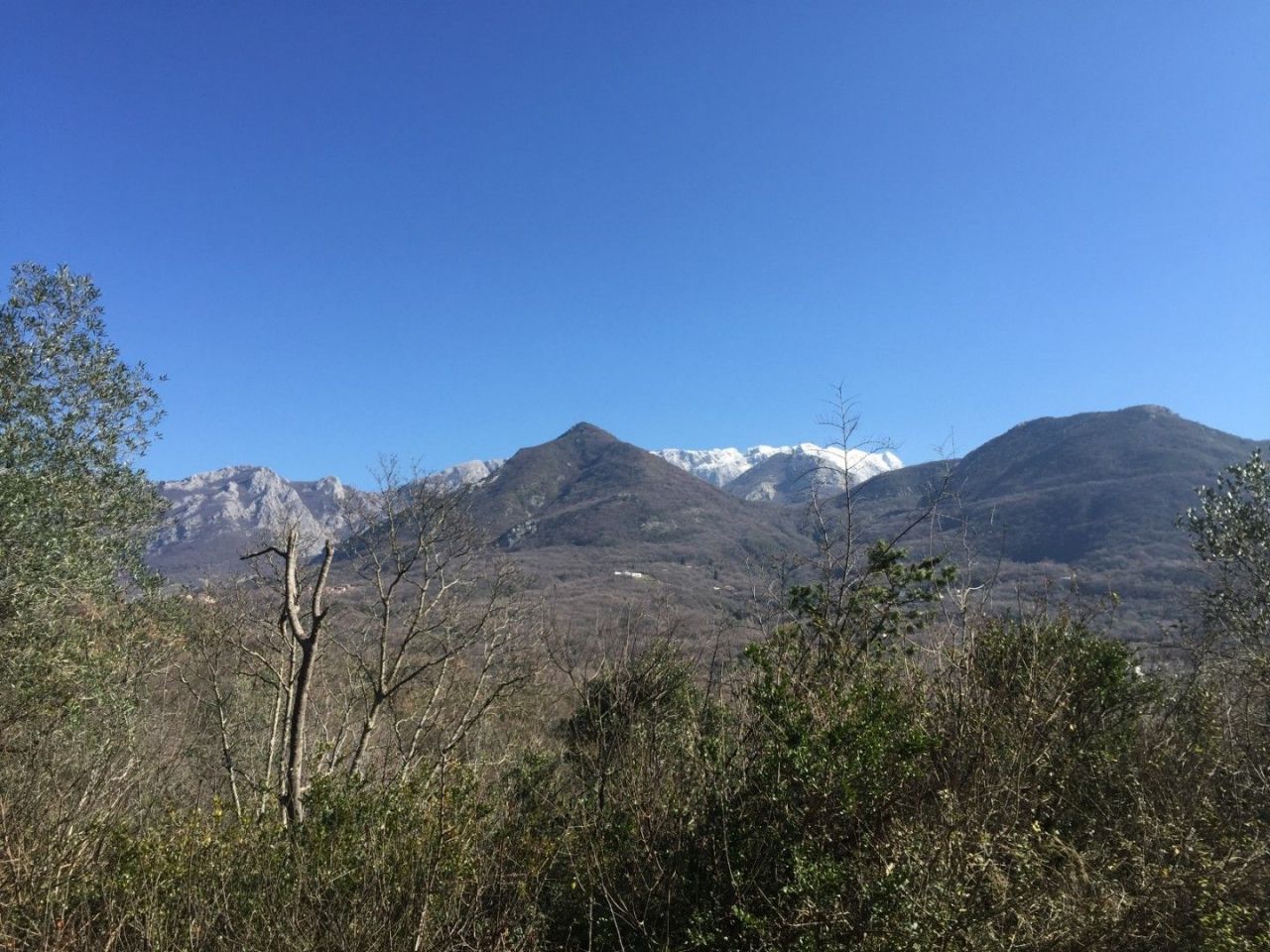 Земля в Баре, Черногория, 8 570 м² - фото 3