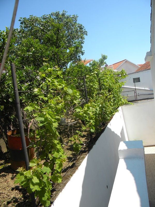 Отель, гостиница в Игало, Черногория, 440 м² - фото 14