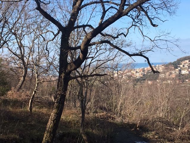 Земля в Баре, Черногория, 1 000 м² - фото 2