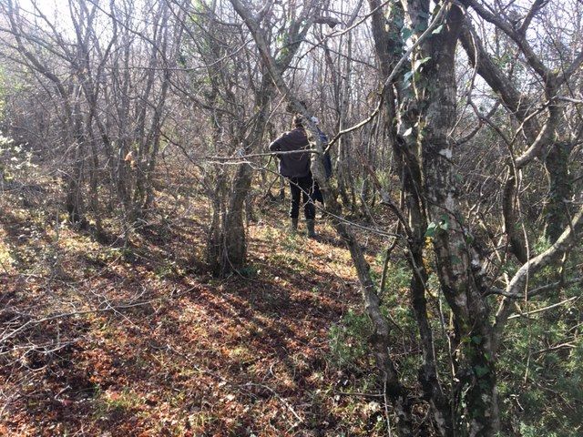 Земля в Баре, Черногория, 1 000 м² - фото 3